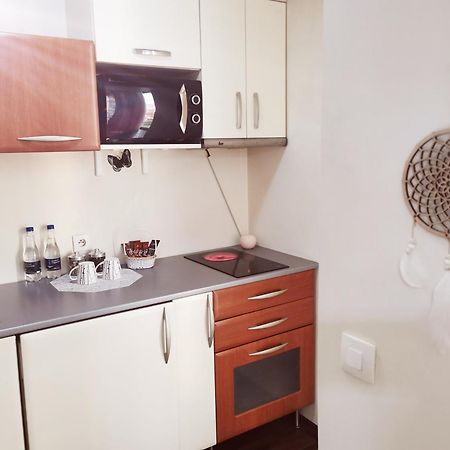 Nice & Economic Studio Baia Mare Extérieur photo